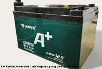 aki timbal asam